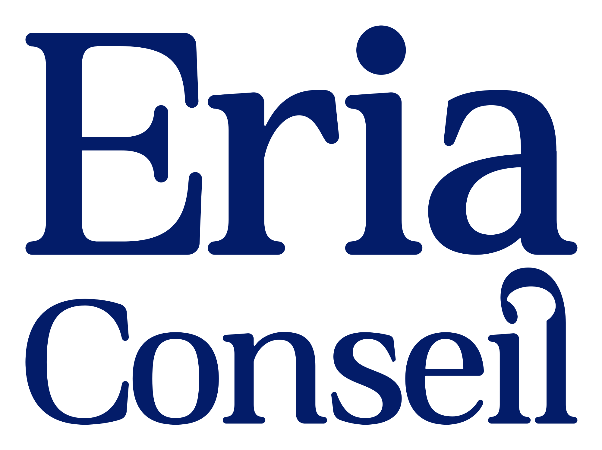 Eria conseil – Accompagnement IA pour TPE et PME